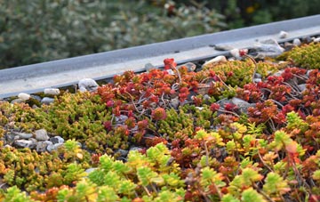 the cost of Upper Hatton green roof installation