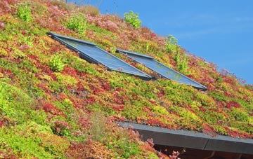 Upper Hatton living roof systems